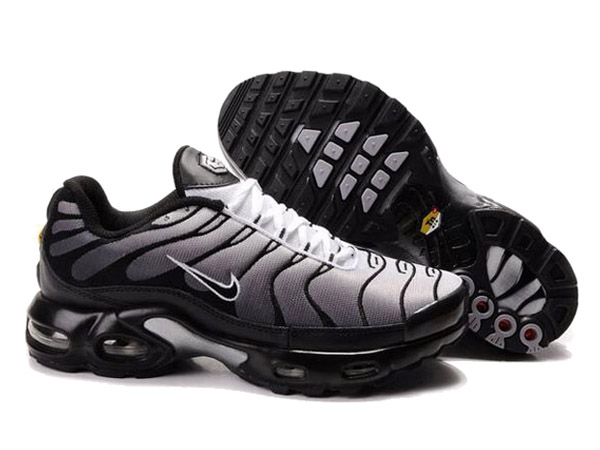 chaussures nike tn requin