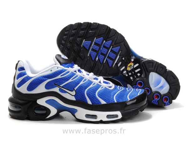 tn pas cher requin