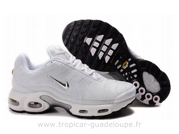 tn requin chere