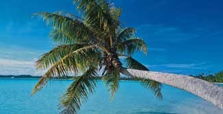 vacances v=sous les palmiers